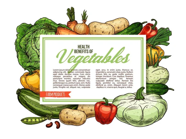 Verduras, alimentos vegetarianos beneficios para la salud — Vector de stock