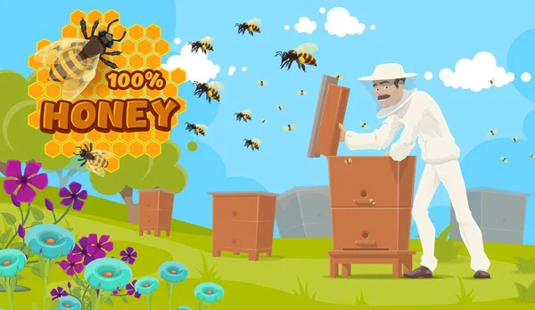 Biodling och biodling, honungsproduktion — Stock vektor