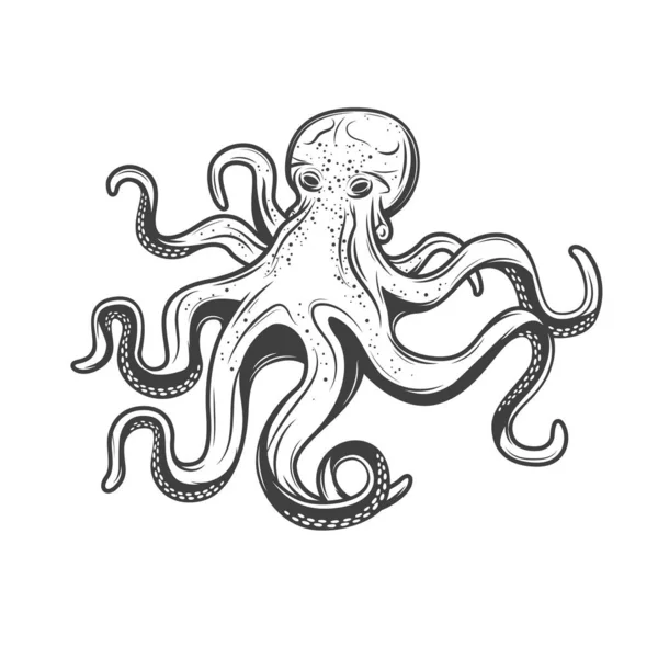 Ikona chobotnice, mořské plody a mořský rybolov — Stockový vektor