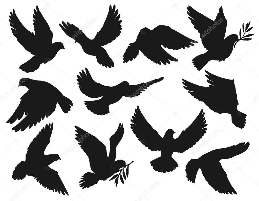 Dove icons, peace and easter symbol, pigeon bird flying with olive branch twig in beak. Vector dove silhouette, sign of Christian church religion, hope and love, resurrection day and holy spirit