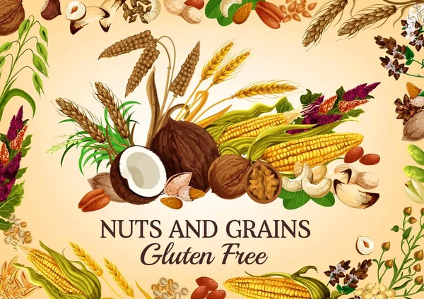 Nozes orgânicas, super alimentos saudáveis grãos de cereais —  Vetores de Stock