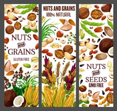 Süper fındık ve sağlıklı Gmo serbest tahıl taneleri.