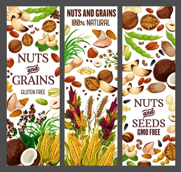 Superfood nuts and healthy GMO free cereal grains — ストックベクタ
