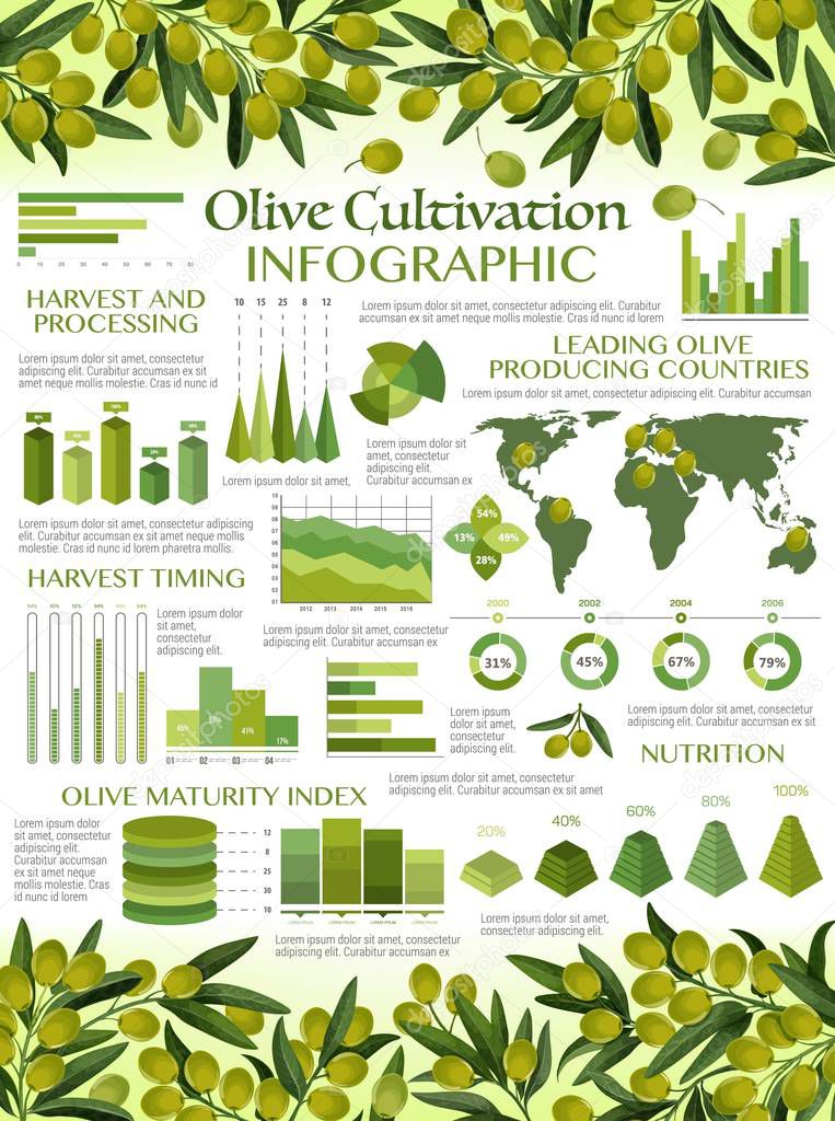 Infographics green olive oils consumption, growth