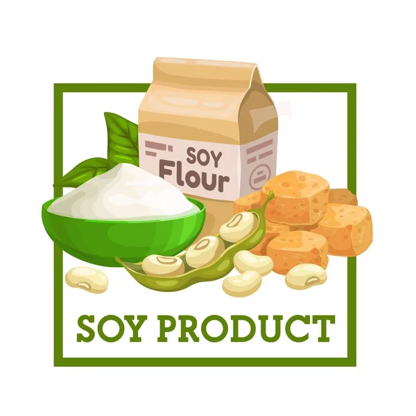 Soybeans, tofu cheese or meat, soy flour — Stock Vector