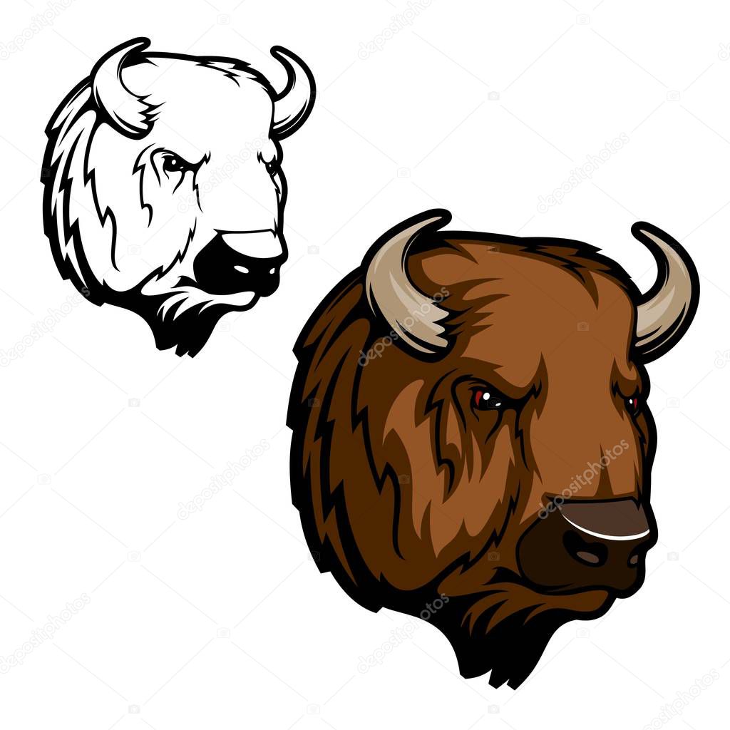 Head of bison, buffalo or wild ox bull animal