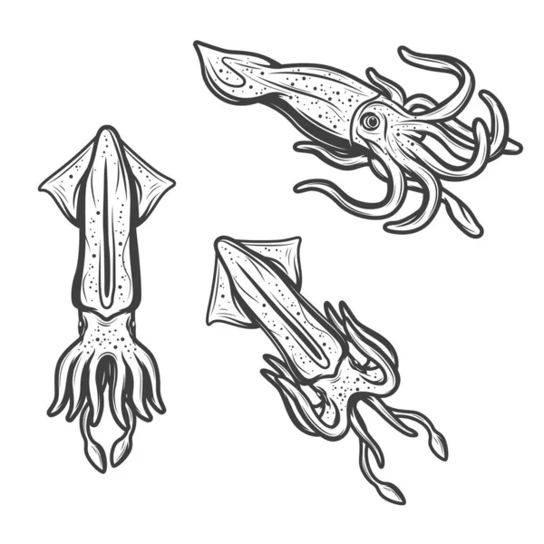 Inktvissen, zeevruchten en vissen monochrome pictogrammen — Stockvector