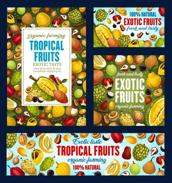 Εξωτικά τροπικά φρούτα, βιολογική γεωργία τροφίμων — Διανυσματικό Αρχείο