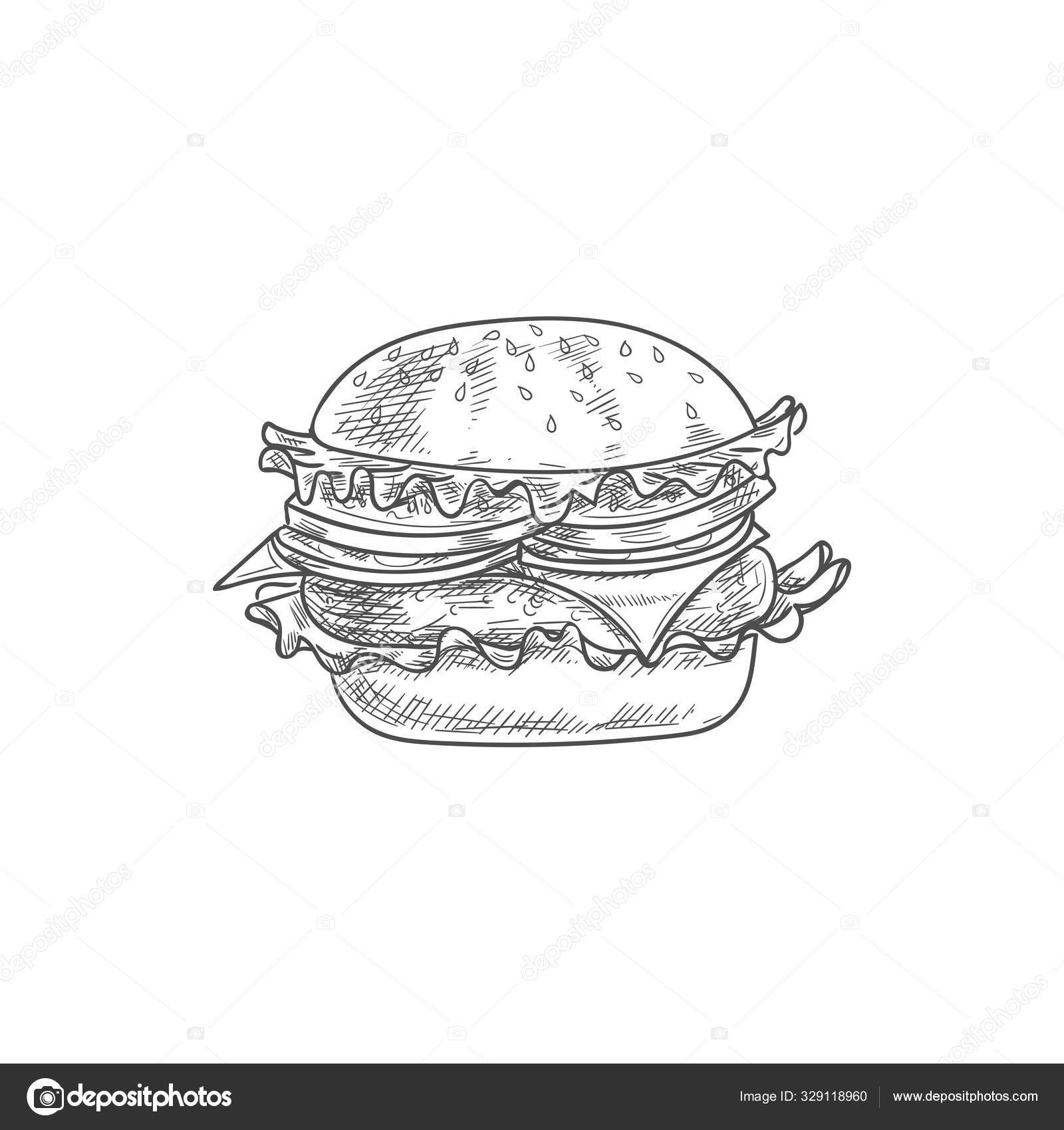 Cheeseburger sketch isolated hamburger burger Stock Vector Image by
