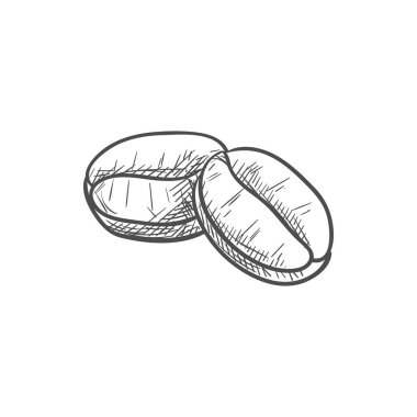 Kavrulmuş kahve çekirdekleri izole edilmiş kahverengi fasulyeler.