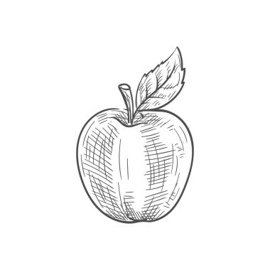 Yapraklı kırmızı elma yalıtılmış meyve yemeği çizimi