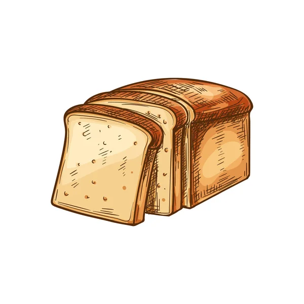 White bread, sketch toast slices — 스톡 벡터