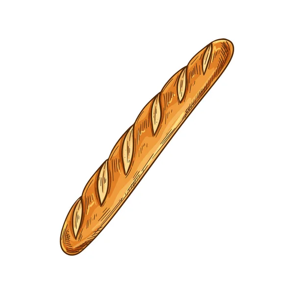 Vitt bröd, skiss baguette bagel — Stock vektor