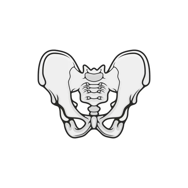 Bekkenbeenderen, skelet anatomie icoon — Stockvector