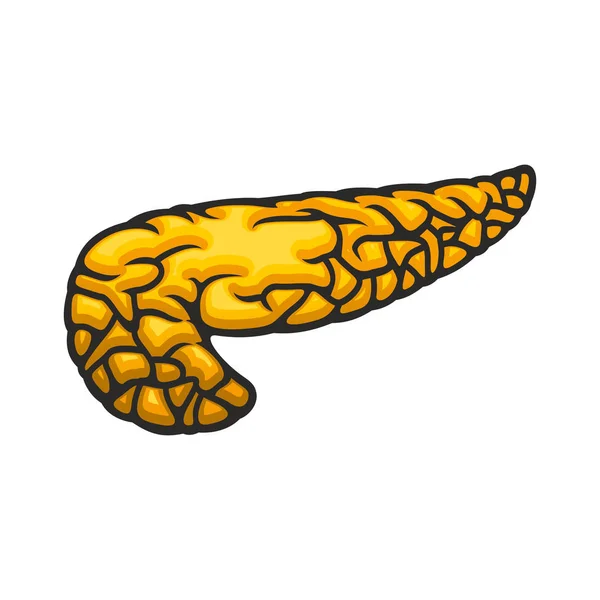 Pancreas icon, human internal organ — ストックベクタ