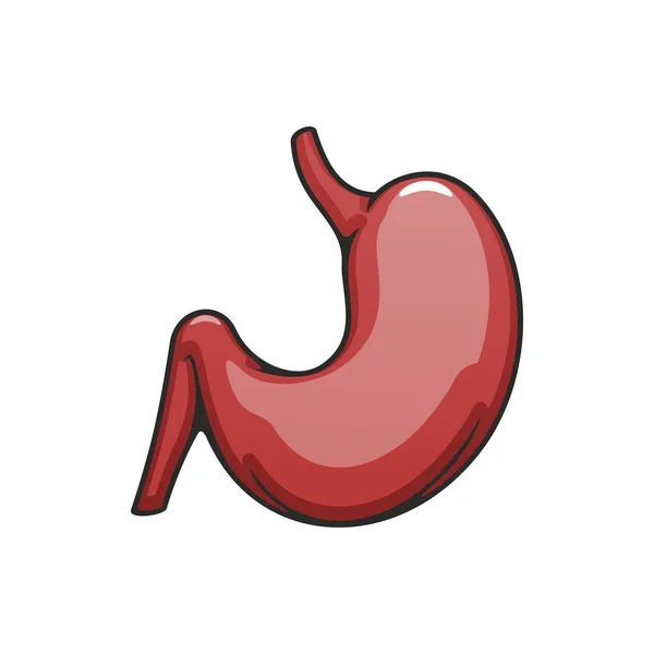 Ludzki żołądek, ikona organów wewnętrznych — Wektor stockowy