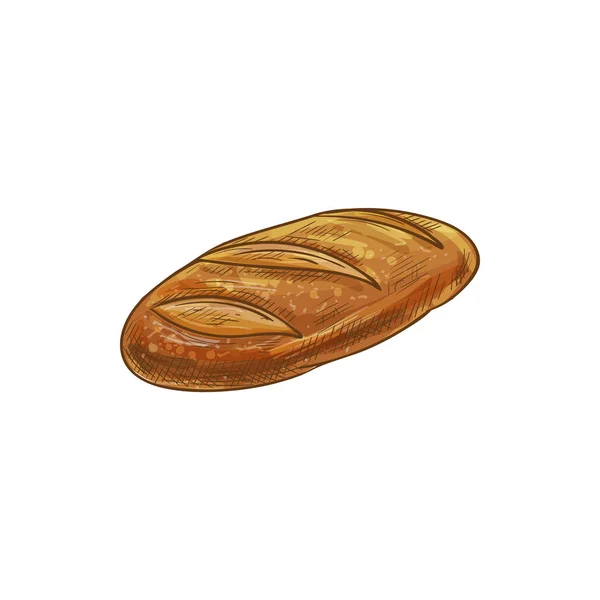 Wheat rye bread isolated bakery food sketch — 스톡 벡터