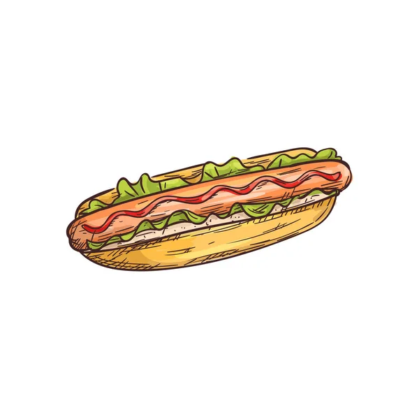 Bosquejo Hotdog bollo aislado y salchicha — Vector de stock