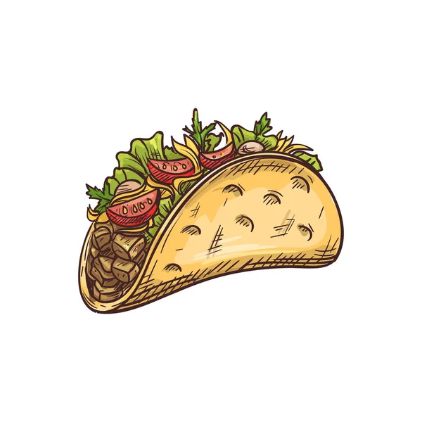Gebratene Tortilla isolierte Tacos oder Burritos — Stockvektor