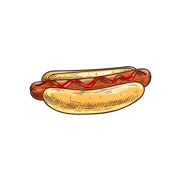 Sketch of hot dog with frankfurter sausage — Stock Vector
