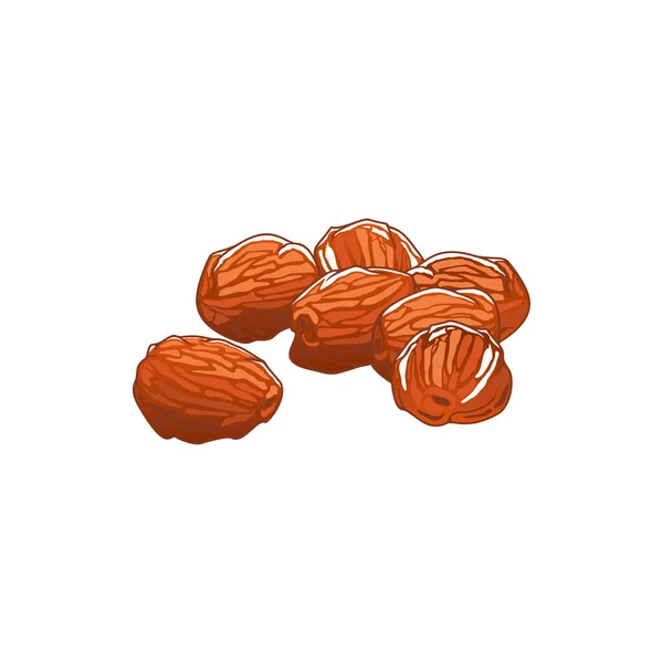 晒干的枣果孤立的糖分食物素描 — 图库矢量图片