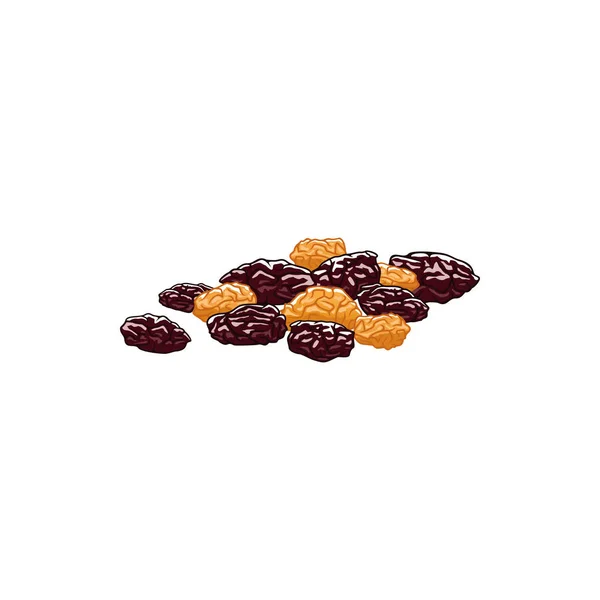 Bayas secas de uvas pasas secas aisladas — Vector de stock