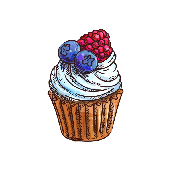 Muffin con mirtilli lampone isolato cupcake — Vettoriale Stock