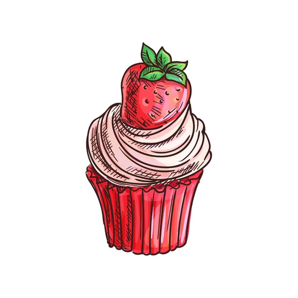 Muffin de fresa cupcake aislado boceto de postre — Archivo Imágenes Vectoriales
