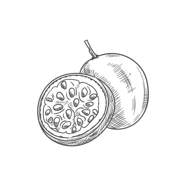 Magdalena de chocolate magdalena con cereza pastel aislado — Vector de stock