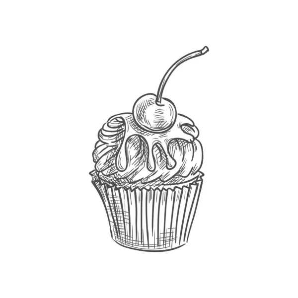 Cupcake muffin au chocolat avec gâteau isolé cerise — Image vectorielle