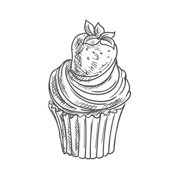 Muffin fraise isolé cupcake dessert croquis — Image vectorielle