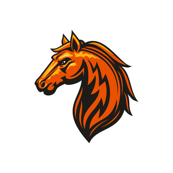 Mustang horse head isolate equestrian sport mascot