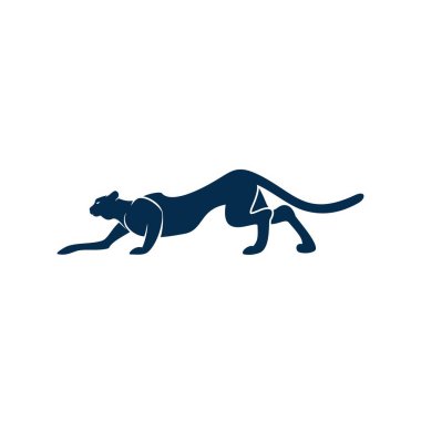 Puma ya da Kara Panter, izole edilmiş vahşi kedi.