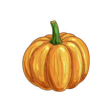 Kabak kabaklı portakal kabağı.