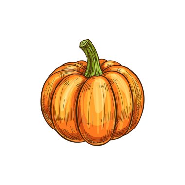 Kabak kabaklı portakal kabağı.