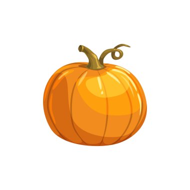 Kabak kabağı vejetaryen yemeği izole edilmiş kabak.