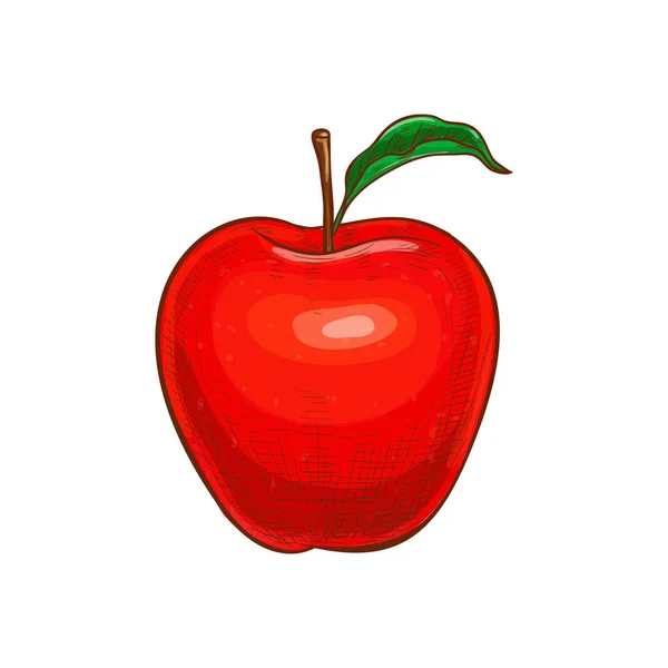 Rött äpple med blad isolerad veggie mat skiss — Stock vektor