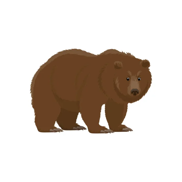 Brown bear, hunt and zoo wild animal — 스톡 벡터