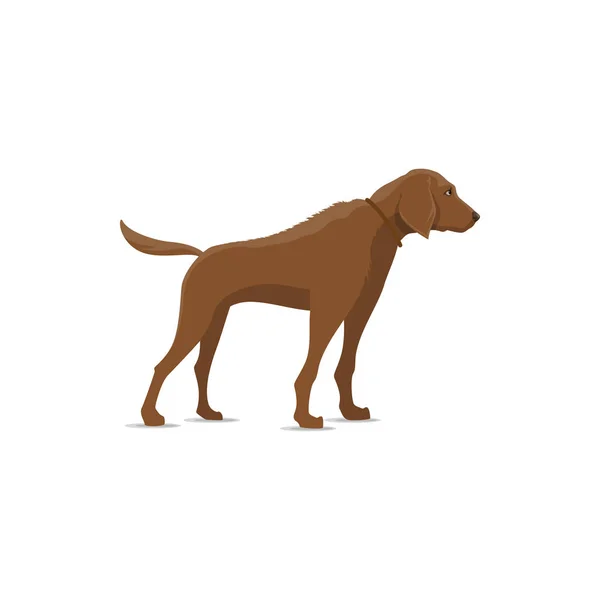 Perro de caza, animal de caza cazador — Vector de stock