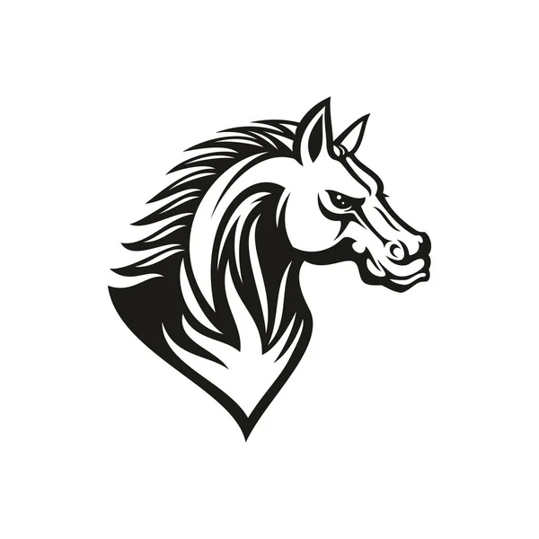 Stallion thoroughbred mustang racehorse animal — Stock Vector