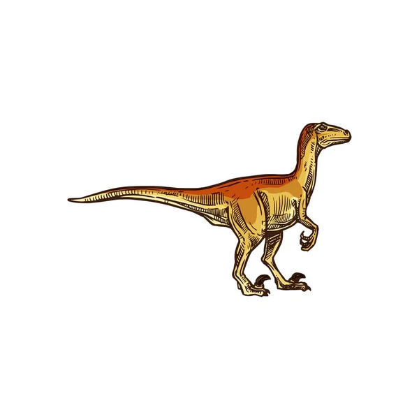 Dinosaurus tyrannosaurus of T-rex geïsoleerd dier — Stockvector
