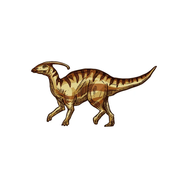 Parasaurolophus ornithopod dino animal isolado — Vetor de Stock