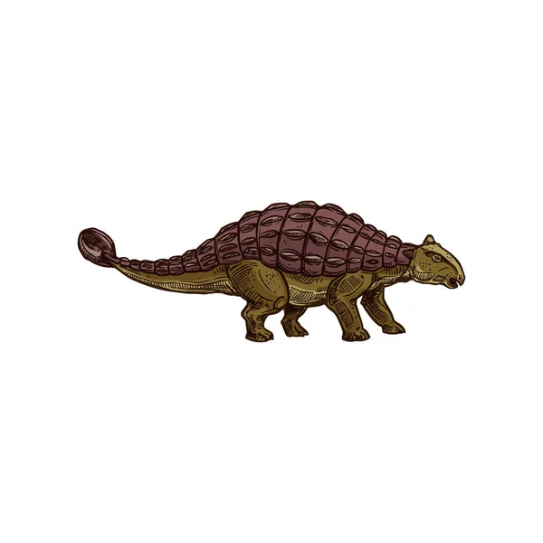 Ankylosaurus dinosaure isolé croquis dino brun — Image vectorielle