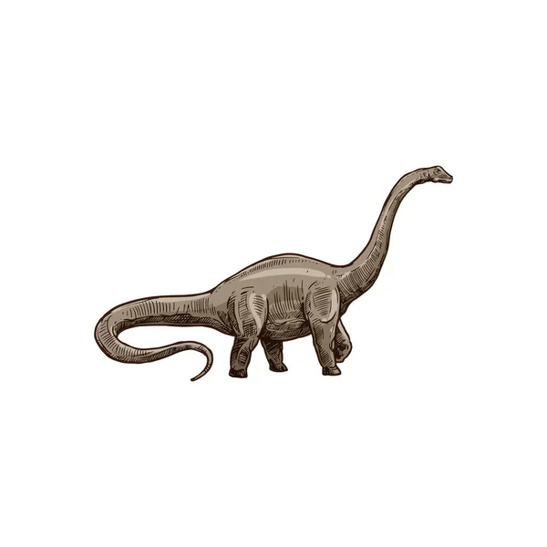 Blauwe dinosaurus geïsoleerd kinderlijke brontosaurus dino — Stockvector