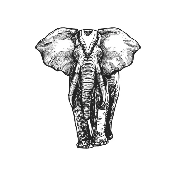 白象、仏教の宗教スケッチシンボル — ストックベクタ
