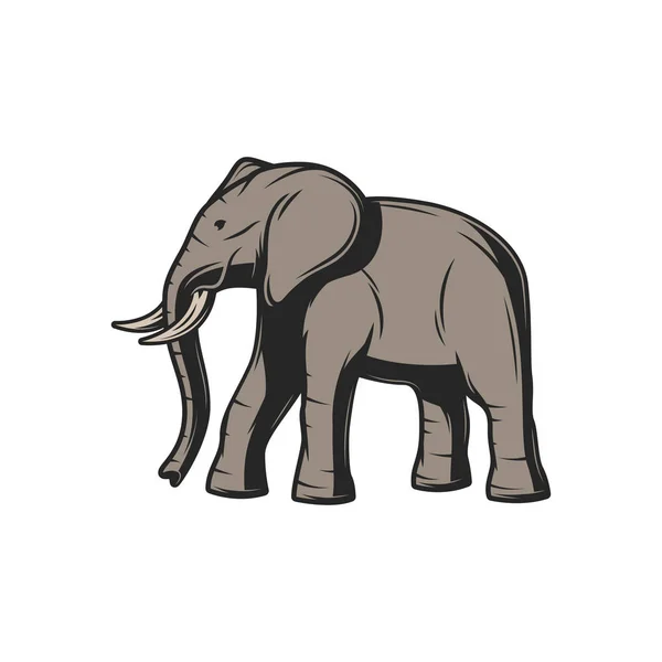 Elefant, afrikanische Safari-Jagd und wildes Zootier — Stockvektor