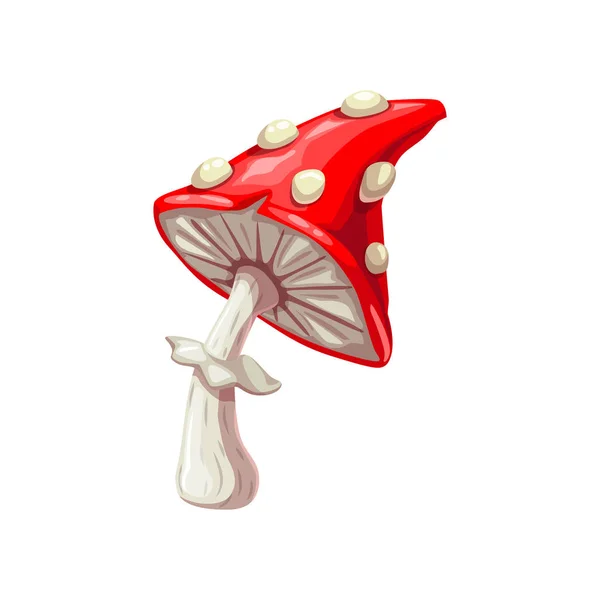 Fly-agaric απομονωμένοι μύκητες amanita, διάνυσμα — Διανυσματικό Αρχείο