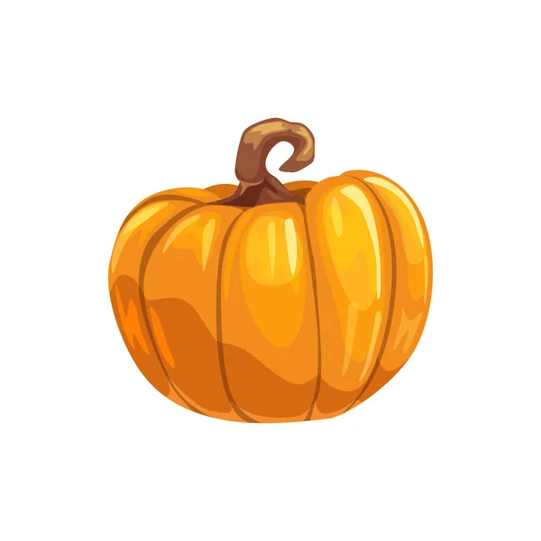 Ripe autumn pumpkin isolated organic vegetable — Stock Vector