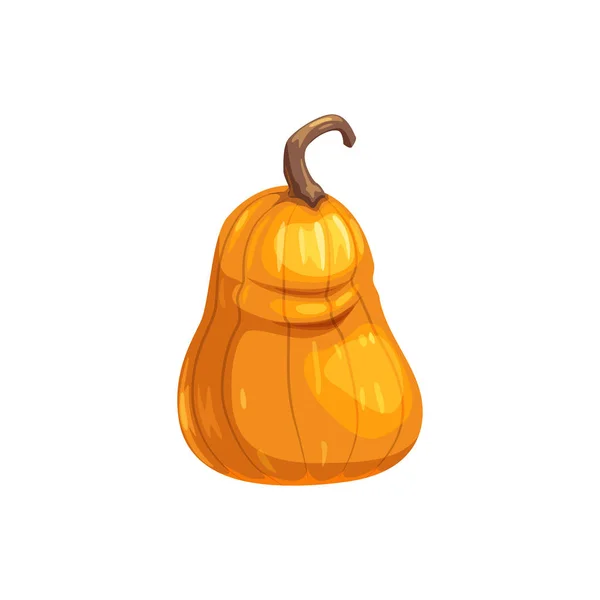 Calabaza en diseño realista calabaza aislada — Vector de stock