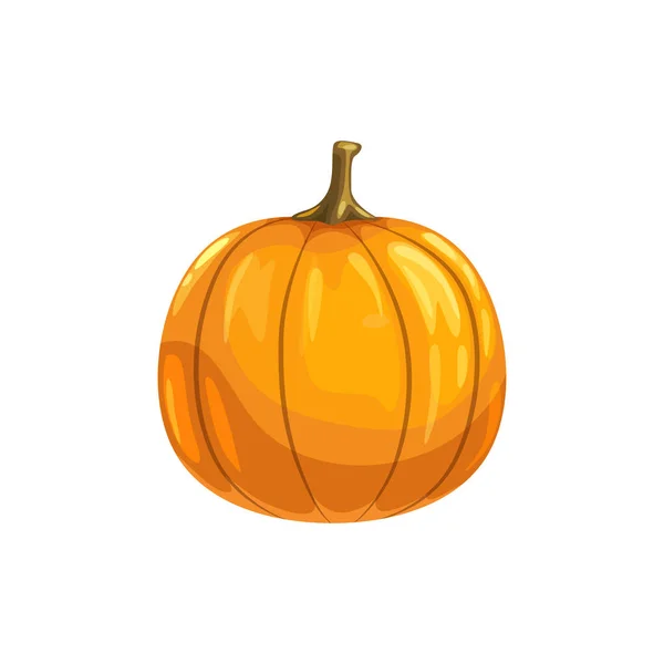 Gourde citrouille symbole d'Halloween et de Thanksgiving — Image vectorielle